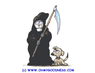 Gif divertente di Halloween