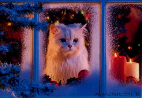 Immagine carina di Natale