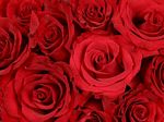 Sfondi di San Valentino
